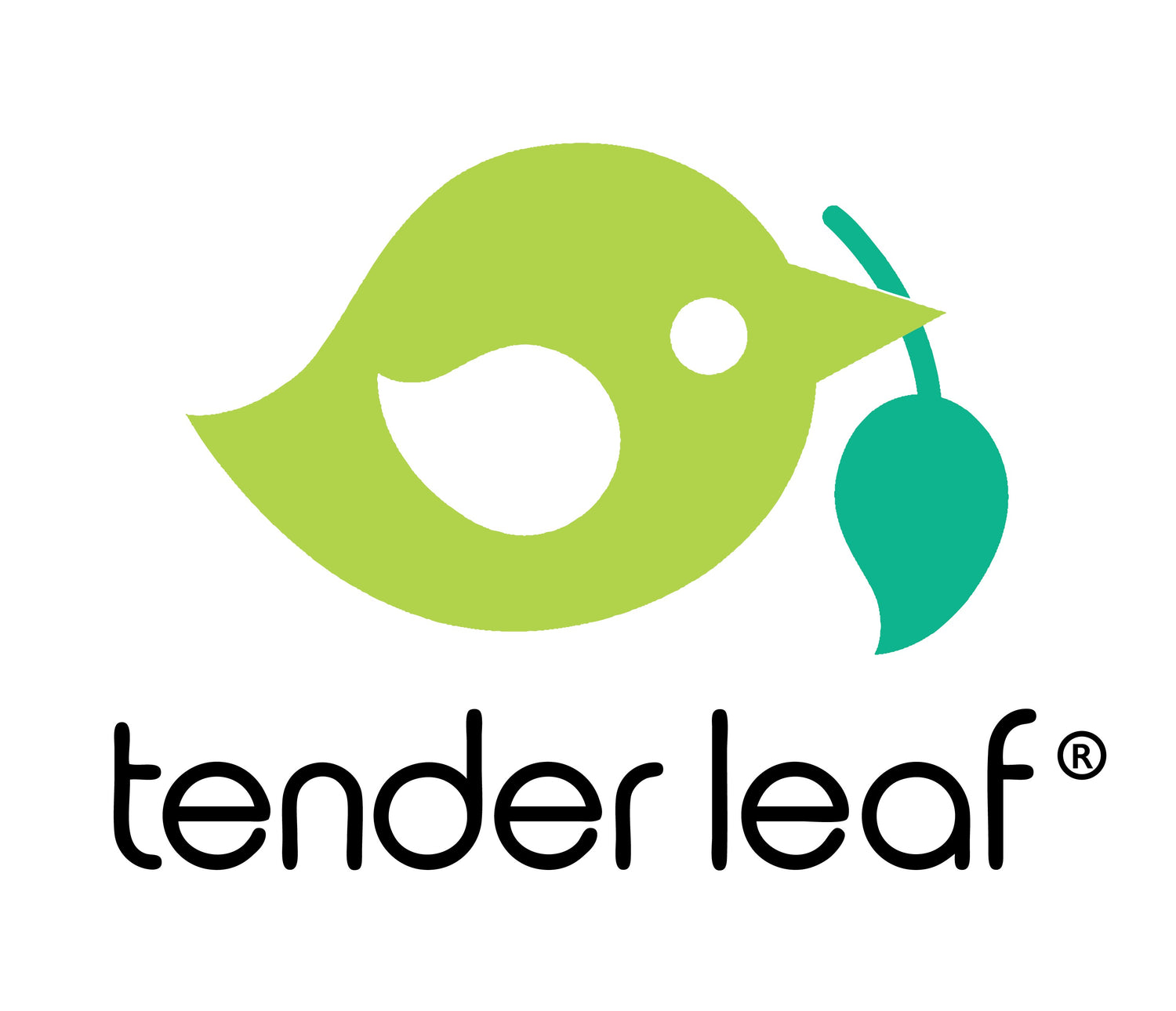 Tender Leaf Toys