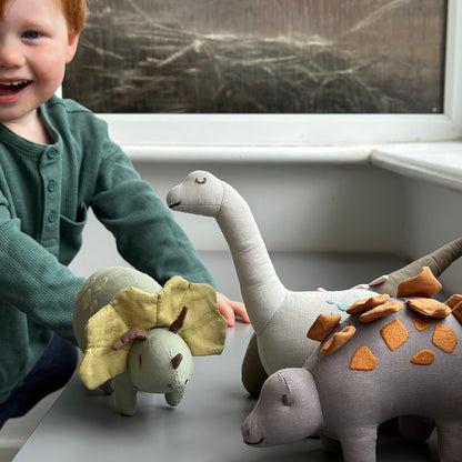 Steggy Linen Dinosaur Toy