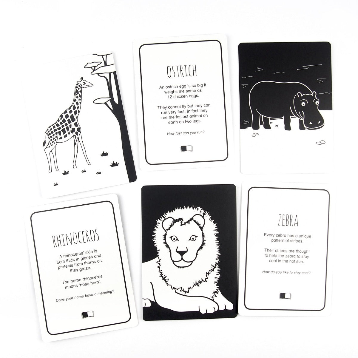 Box of black and white flash cards for babies with an animals of Africa theme.  Showing images on the front of the cards such as giraffes and ostriches.  The back of the cards has the animal name and interesting facts about the animal.