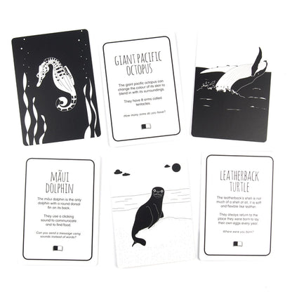 Ocean Animals Flash Cards